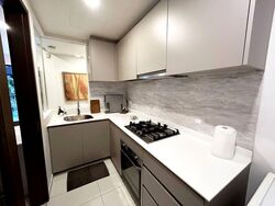 The Visionaire (D27), Condominium #568143541